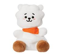 Aurora, 61505, BT21 RJ Palm Pal, 5In, Eco-friendly soft toy, White