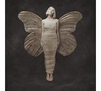 All My Demons Greeting Me As a Friend