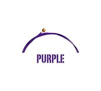 Aurora AURPPA-11 Premium Acoustic 11 LM Gauge Guitar Strings Light, Purple