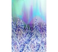 Aurora Borealis Journal