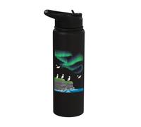 Aurora Borealis Lover Atlantic Puffin sea Cliff Polar Lights Stainless Steel Insulated Water Bottle
