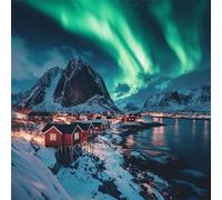 Aurora Diamond Art Kits Adults, 5D Polar Bear Diamond Painting Embroidery Kit, DIY Full Round Drill Crystal Art Crafts, Paint by Numbers for Adults, Home Decoration, Gifts for Women 24x24 inch y-z185