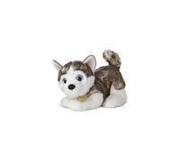 Aurora - Miyoni - 10" Siberian Husky Pup