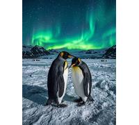 Aurora Penguin Paint by Numbers for Adults Beginners, Adult Paint by Numbers Canvas Kits, DIY Acrylic Painting by Number, Creative Hobby for Women, Wall Art Home Decor Unique Gifts 16x20in YT6-567