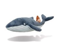 Snail and the Whale