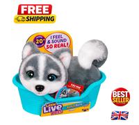 Aurora the Husky - Adorable Interactive Puppy Toy Perfect for Kids 60+