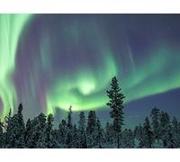 Auroras-Light Shows on the Edge of Space
