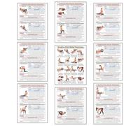 Auroscent Sciatica Pain Relief Exercise Chart, Lower Back & Nerve Stretching Poster for Home Physical Therapy, Hip, Glute & Leg Mobility, for Seniors & Adults