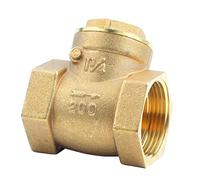 Ausla Brass Swing Check Valve, 1-1/4 Inch BSP DN32 Swing Check Valve for Water Air Compressor Sump Pump, Brass One Way Valve 232 PSI Compatible