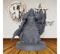 AUSPDICE Elf Paladin 28mm Unpainted Fantasy Miniature with Sword AS224 | Armored Elf Knight Figure with Sword and Shield for Dungeons and Dragons, TTRPGs, Fantasy Campaigns and Dungeon Masters