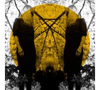 Austra Feel It Break (CD) (US IMPORT)