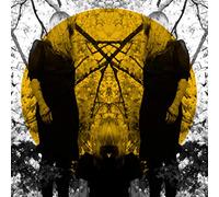 Austra - Feel It Break [VINYL]