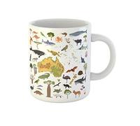 Australia and Oceania Flora Fauna Map Flat Animals Birds Drinking Cup Unique Tea Cup Durable Travel Mug Fun Gifts for Anniversary Celebration Sister Mom 330Ml