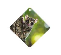 Australia Cute Sugar Glider Car Air Freshener Decorative Hanging Aromatherapy Tablets for Car Trucks Rhombus