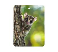 Australia Cute Sugar Glider Car Air Freshener Decorative Hanging Aromatherapy Tablets for Car Trucks Square