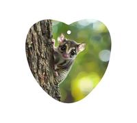 Australia Cute Sugar Glider Car Air Freshener Decorative Hanging Aromatherapy Tablets for Car Trucks Love form