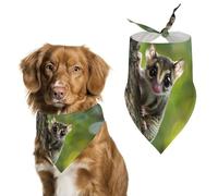 Australia Cute Sugar Glider Dog Bandana Adjustable Pet Scarf Bib Cute Triangle Handkerchief for Dogs Cats Gifts