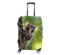 Australia Cute Sugar Glider Luggage Cover Travel Suitcase Protector Anti-Scratch Suitcase Cover L