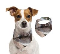 Australia Koala Bear,Dog Bandanas Cotton Pet Scarf Adjustable Bibs for Pet,L