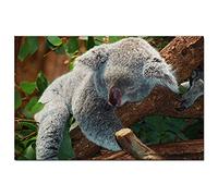 Australia Lone Pine Koala Sanctuary Brisbane Jigsaw Puzzle 200 Piece Game Artwork Travel Souvenir 35x25CM