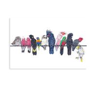 Australian Bird Art Painting Poster Canvas Poster Bedroom Decor Landscape Office Room Decor Gift 24x36inch(60x90cm)