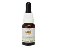 Banksia Robur 15 ml Stockbottle Australian Bush Flower Essences