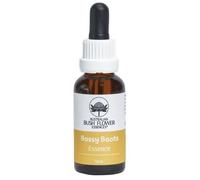 Australian Bush Flower Essences Bossy Boots Essence 30ml