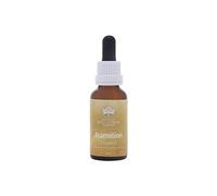 Australian Bush Flower Essences Bush Transition Flower Essence 30ml Oral Drops - Support for Life Changes