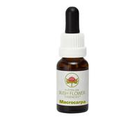 Australian Bush Flower Essences Macrocarpa 15ml