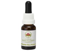 Australian Bush Flower Essences Slender Rice Flower 15ml