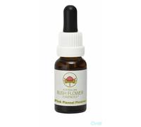 Pink Flannel Flower 15 ml Stockbottle Australian Bush Flower Essences