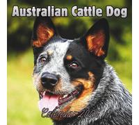 Australian Cattle Dog Calendar 2026: 12 Months Organizer For Home & Office From January to December