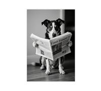 Australian Cattle Dog Reading A Newspaper Canvas Poster Bedroom Decor Landscape Decor Gift 08x12inch(20x30cm)