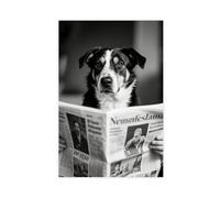 Australian Cattle Dog Reading A Newspaper Canvas Poster Bedroom Decor Landscape Decor Gift 20x30inch(50x75cm)