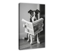 Australian Cattle Dog Reading A Newspaper Canvas Poster Wall Art Print Picture Paintings 20x30inch(50x75cm)