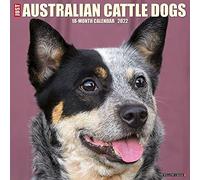 Australian Cattle Dogs 2022 Wall Calendar