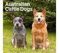 Australian Cattle Dogs 2026 - 16-Monatskalender: Original BrownTrout-Kalender [Mehrsprachig] [Kalender]