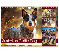 Australian Cattle Dogs. Real cowboys and heroes of the farm UK-Version (Wall Calendar 2026 DIN A4 Landscape), CALVENDO 12 Month Wall Calendar