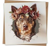 Australian Kelpie Dog Greeting Card - Funny Dog Cards with Envelope