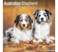Australian Shepherd 2025 Square Wall Calendar | Dog Breed Calendar
