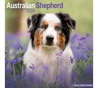 Australian Shepherd 2026 Calendar | Square Wall Calendar | Dog Breed Gift | Plastic Free Packaging | by Avonside Publishing