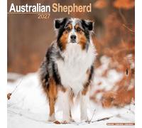 Australian Shepherd 2027 Calendar | Square Wall Calendar | Dog Breed Gift | Plastic Free Packaging | by Avonside Publishing