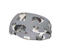 Australian Shepherd Blue Merle Dog Simple GreyHair Bands for Men Woman Headband Running Headband Sweat Wicking Gym
