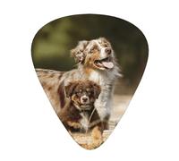 Australian Shepherd Dogs Aussie Brown Dogs,12 Pcs Guitar Pick,3 Different Thickness Plectrums for Acoustic Guitar Bass Ukulele (0.46mm 0.96mm 0.71mm)