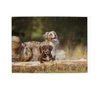Australian Shepherd Dogs Aussie Brown Dogs,500 Pieces Puzzles for Adults-Wooden Jigsaw Puzzle for Adults Elderly