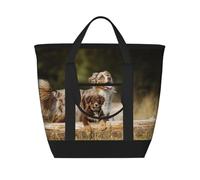 Australian Shepherd Dogs Aussie Brown Dogs,Lunch Bags Large Capacity Insulated Tote Bag For Women Men Work Picnic Travel