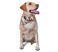 Australian Shepherd Dogs Couple Dogs AussiesDog Bandanas Cat Puppy Scarfs Washable Pet Handkerchief