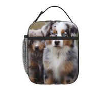 Australian shepherd Insulated Cooler Lunch Bag for Women/Men Reusable Lunch Box Lunch Tote Bag for Office Work Picnic