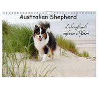Australian Shepherd - joie de vivre on four paws UK-Version (Wall Calendar 2026 DIN A4 Landscape), CALVENDO 12 Month Wall Calendar