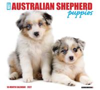Australian Shepherd Puppies 2027 Wall